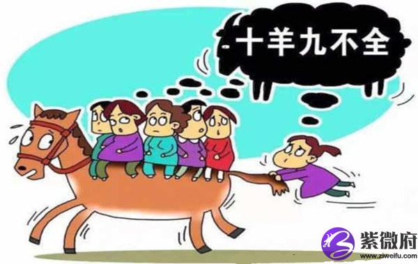 属羊的人命好不好
