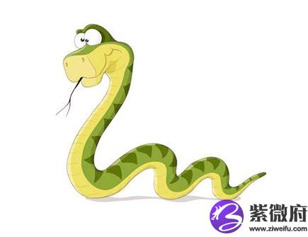 属蛇男人婚姻与命运