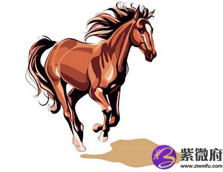 属马男人婚姻与命运