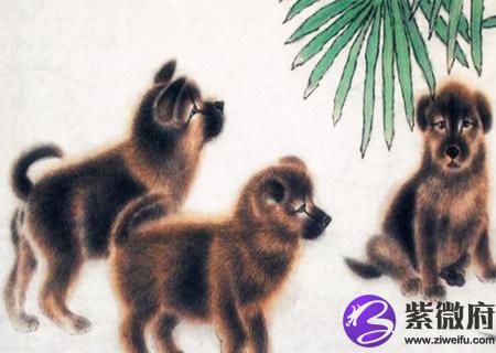 属狗男的和什么属相最配