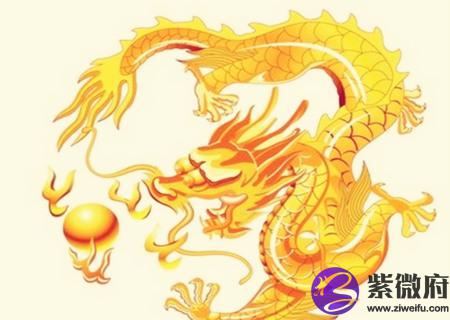 属龙男的和什么属相最配