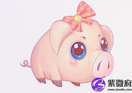 属猪女的和什么属相最配