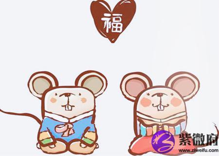 属鼠男的和什么属相最配