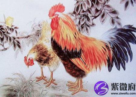 属鸡的人2020年财运如何