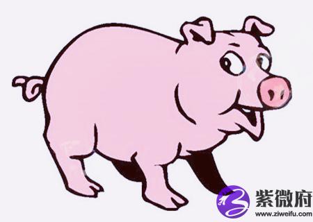 属猪的人2020年财运如何