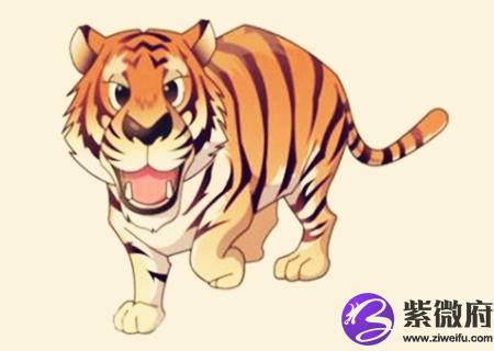 属虎的人2020年财运如何