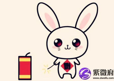 属兔的人2020年财运如何
