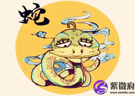 属蛇的人哪天出生命最好
