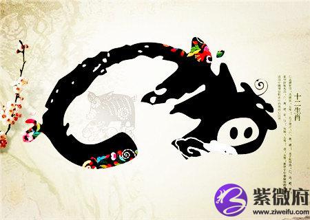属猪生于什么时辰财运好