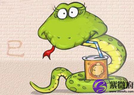 属蛇的人适合做什么行业