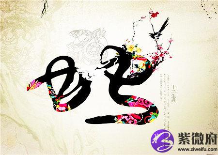 属蛇生于什么时辰财运好