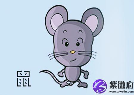 属鼠的人适合做什么行业