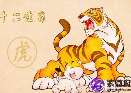 属虎的人适合做什么行业