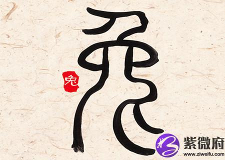 属兔女人生于几月偏财运好