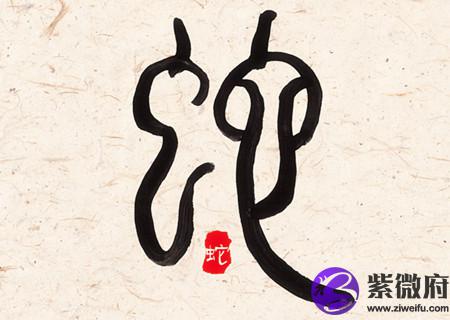 属蛇女人生于几月偏财运好