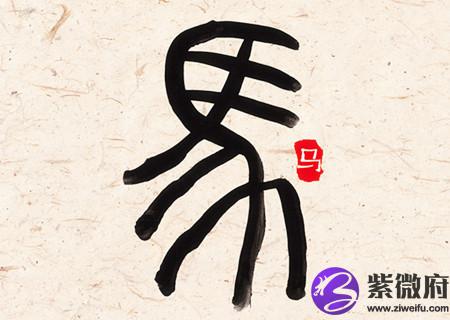 属马女人生于几月偏财运好