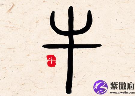 属牛女人生于几月偏财运好