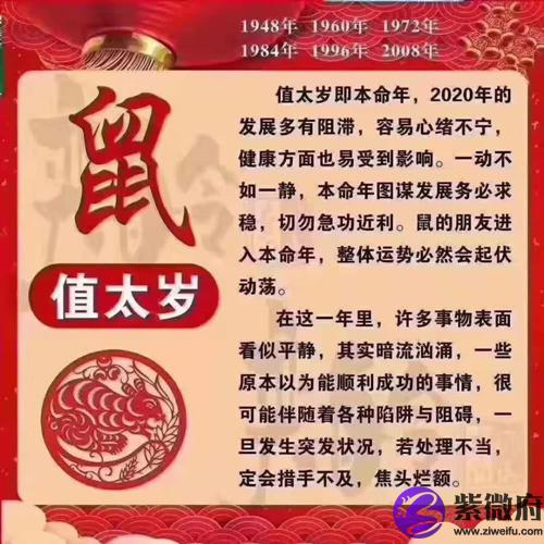 属鼠人值太岁如何化解