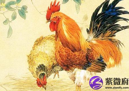 属鸡一生财运如何