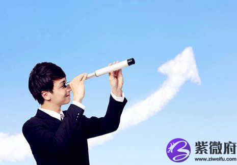 观察能力很强的生肖