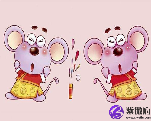 生肖鼠本命年
