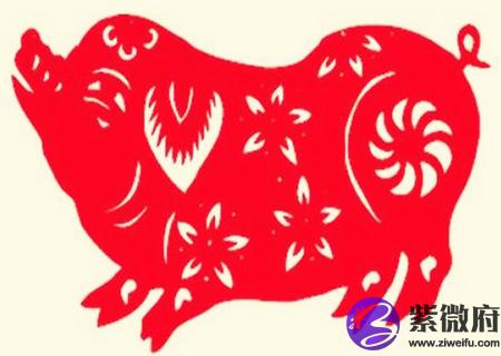 属猪佩戴什么运气最好