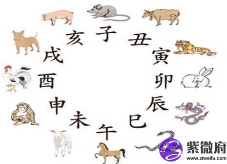 十二生肖相克相生表
