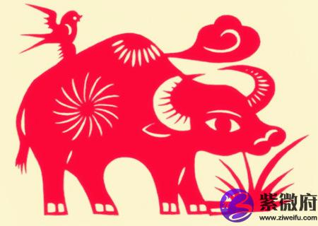 属牛佩戴什么运气最好