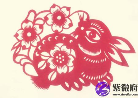 属兔佩戴什么运气最好
