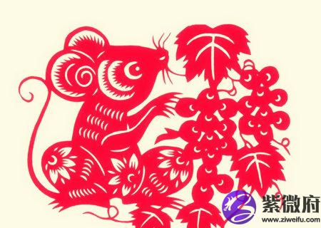 属鼠佩戴什么运气最好
