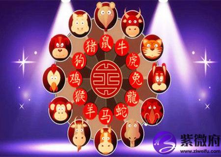 什么生肖财运最好