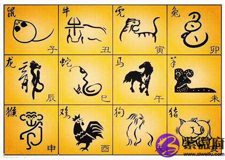 十二生肖在英语中的喻义