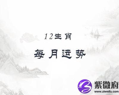 十二生肖每月运势详解