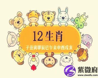 十二生肖每月运势详解