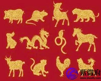 十二生肖每月运势详解