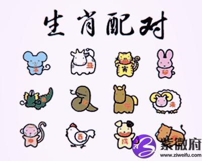 十二生肖婚姻配对大全