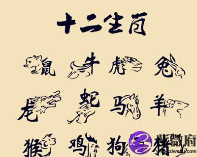 十二生肖财运方位