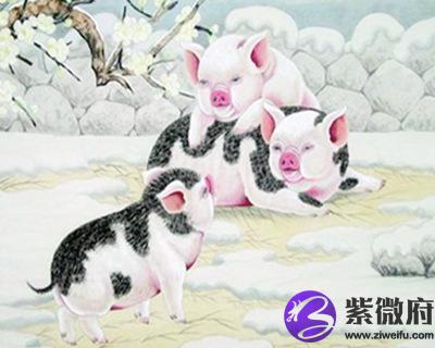 2019年属猪的人是什么命
