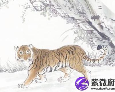 2010年属虎的人是什么命