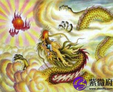 2000年属龙的人是什么命