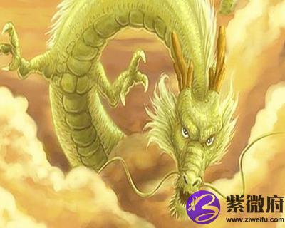 2012年属龙的人是什么命