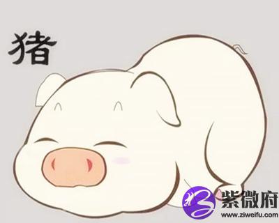 2007年属猪的人是什么命