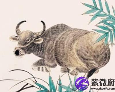 1973年属牛的人是什么命