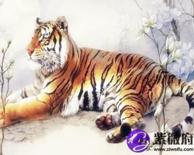 1974年属虎的人是什么命