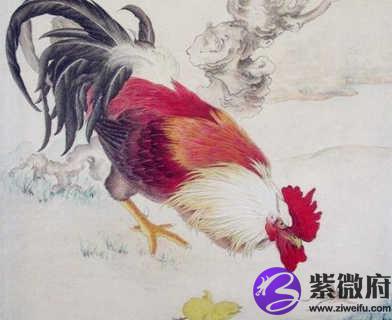1993年属鸡的人是什么命