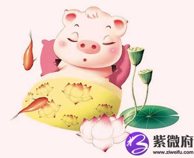 1995年属猪的人是什么命