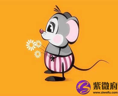1996年属鼠的人是什么命