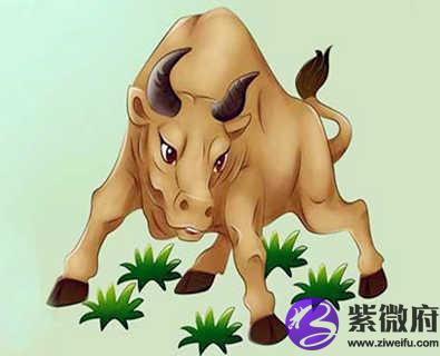 1997年属牛的人是什么命