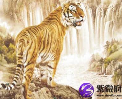 1986年属虎的人是什么命