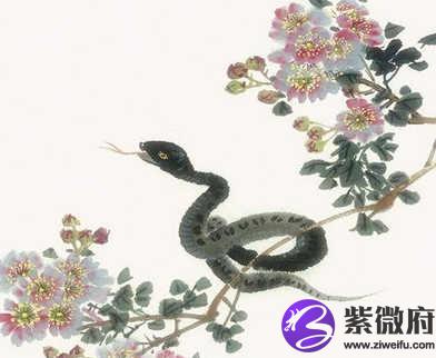 1989年属蛇的人是什么命